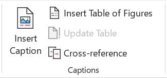 Captions Section