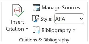 Citations And Bibliography Section of MS Word in MS Word